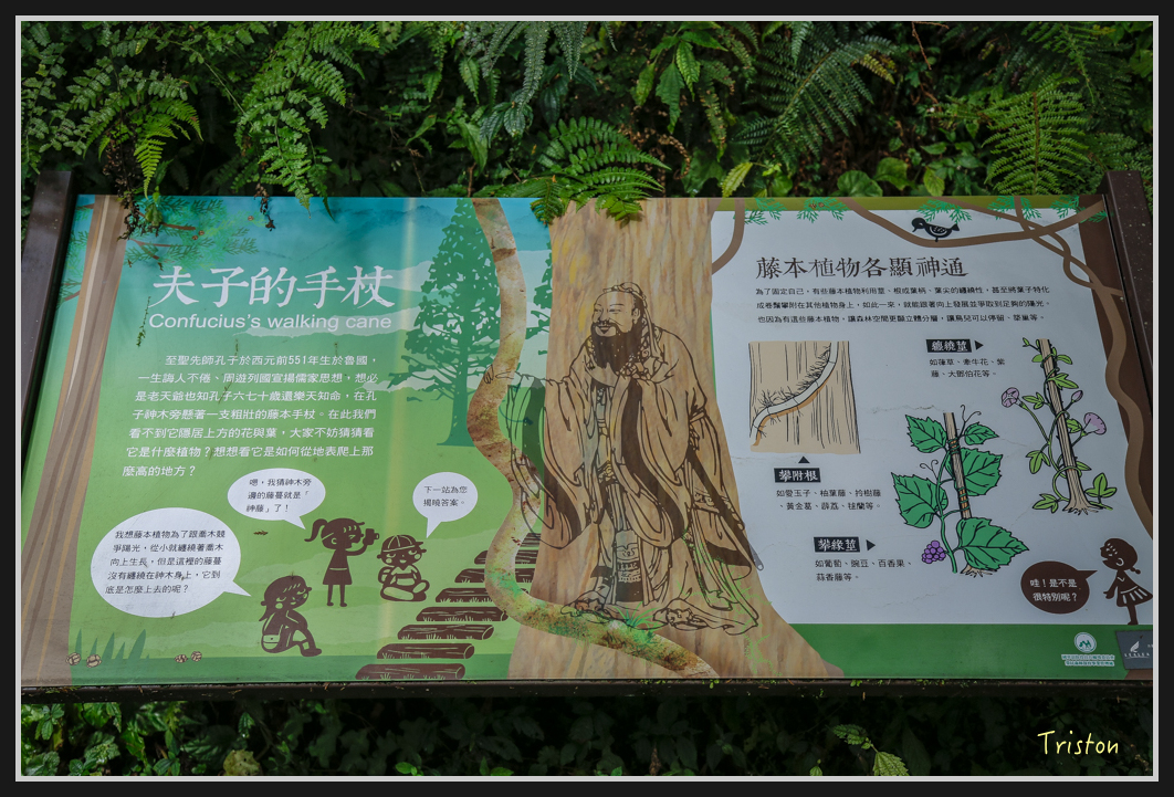 0080.jpg - 20161231 明池 神木園