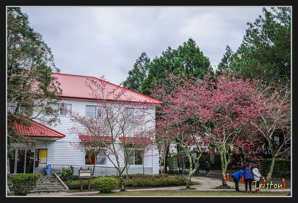 _H1A2326.jpg - 20170212 武界 萬大電廠 奧萬大