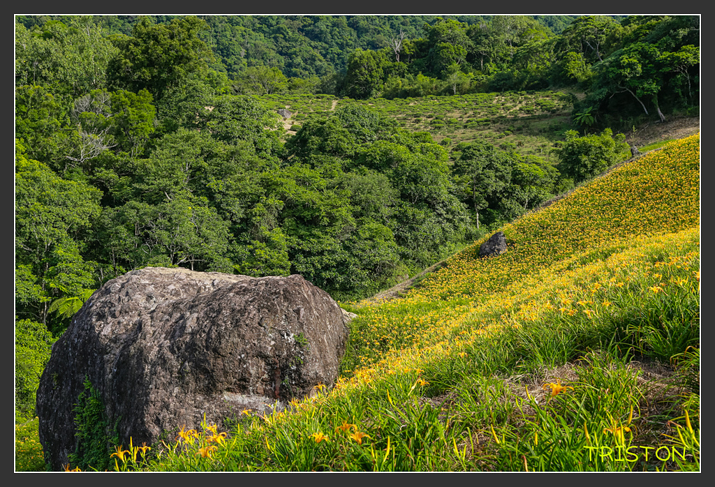 _H1A6613.jpg - 20170901 戀戀台九線