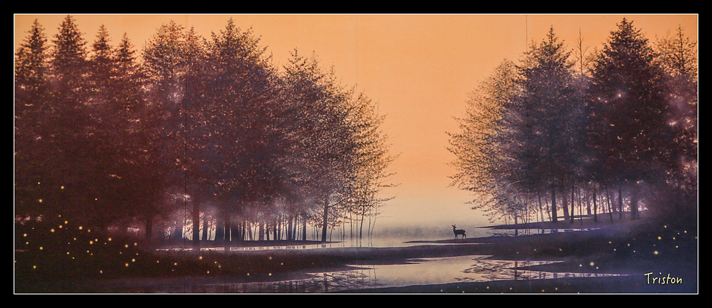 JH1A9598.jpg - 20150628 東京輕井澤日光