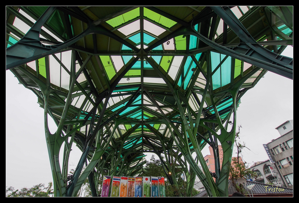 PA240038.jpg - 20151024~25 幾米公園、翠峰湖、翠峰山屋、望洋山步道、山毛櫸步道