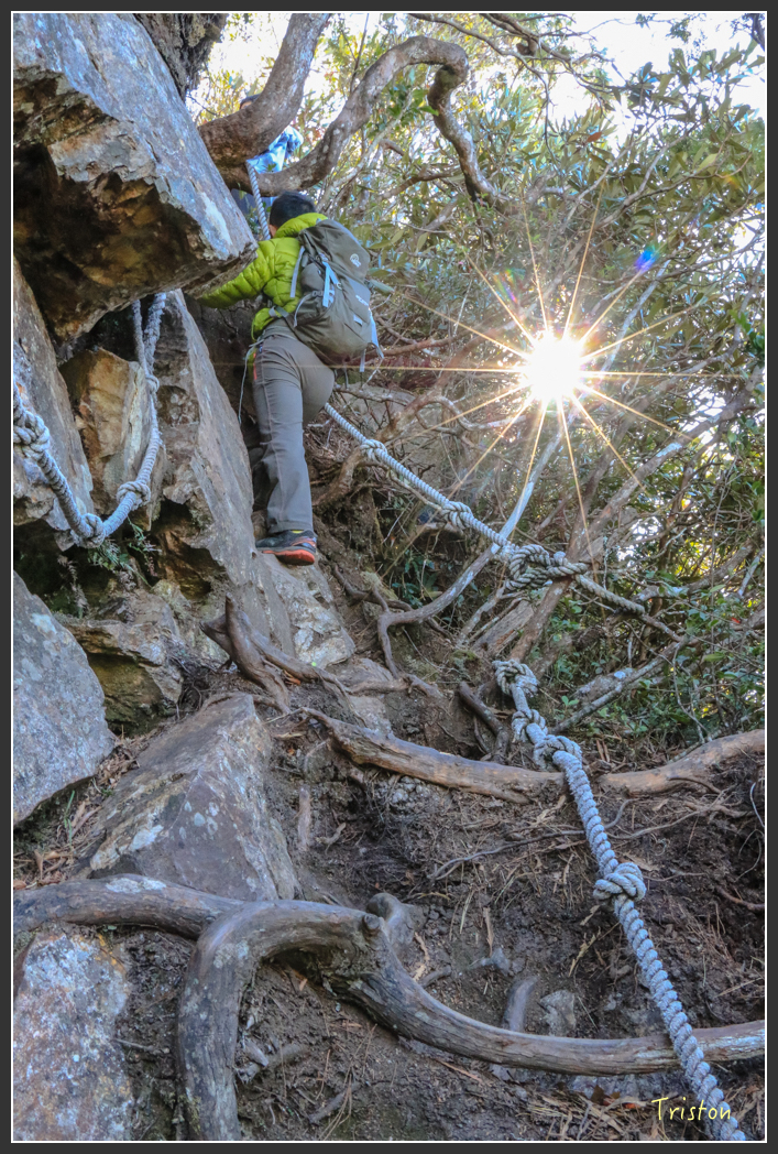 IMG_0590.jpg - 20151219 鳶嘴稍來山、小雪山林道