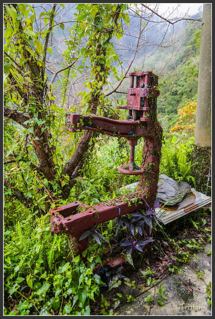 JH1A8220.jpg - 20160111 吉露、阿禮部落