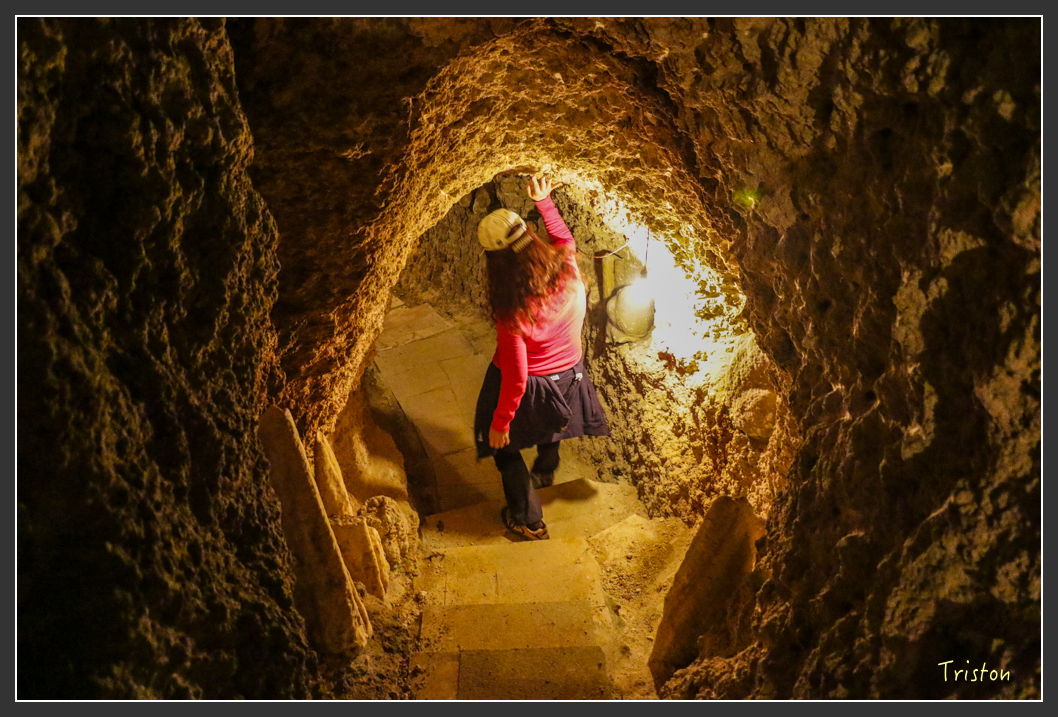 IMG_3220.jpg - 20160220 小崗山健行步道