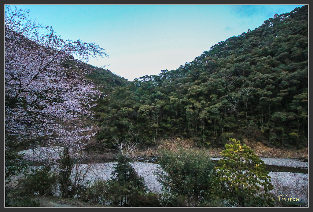 IMG_4617.jpg - 20160323 日本熊野古道健行