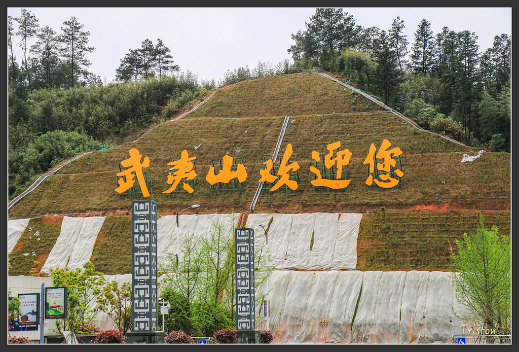 IMG_6843.jpg - 20160409 武夷山之旅