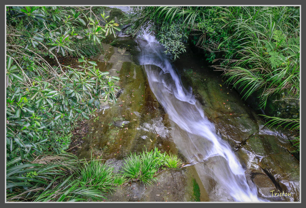 _MG_8644.jpg - 20160622 圓潭、雲潭、水社寮車站