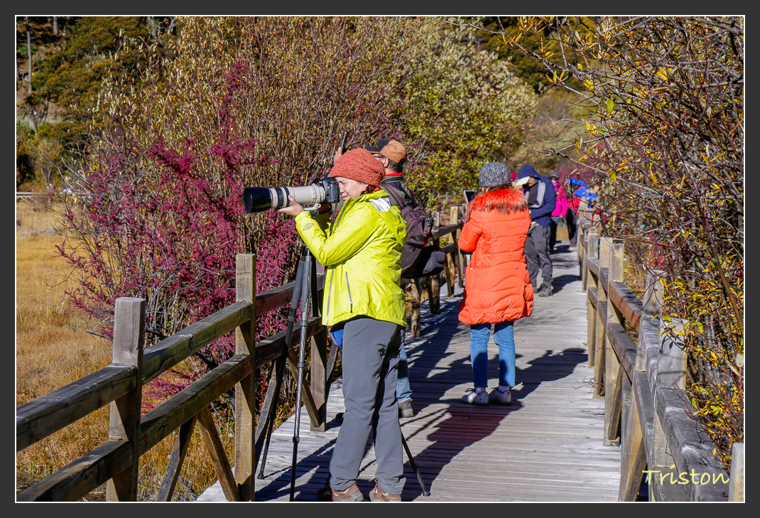_MG_1963.jpg - 20161013 稻城亞丁