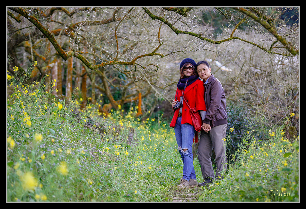 _H1A1330.jpg - 20170117 烏松崙、竹青庭