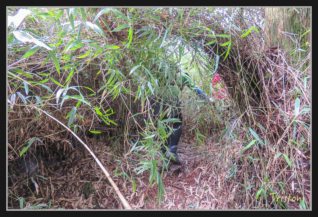 IMG_1405.jpg - 20170318 守關山、守城大山