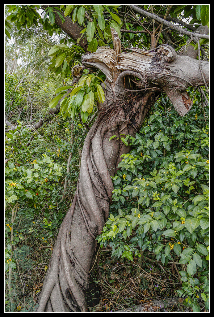 _H1A3166.jpg - 20170401 墾丁