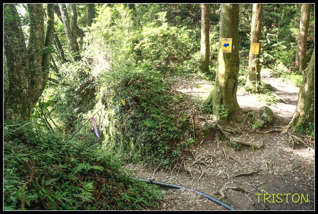 _MG_0172.jpg - 20170920 加里山