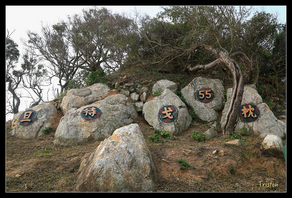 JH1A9511.jpg - 20150814 馬祖之旅