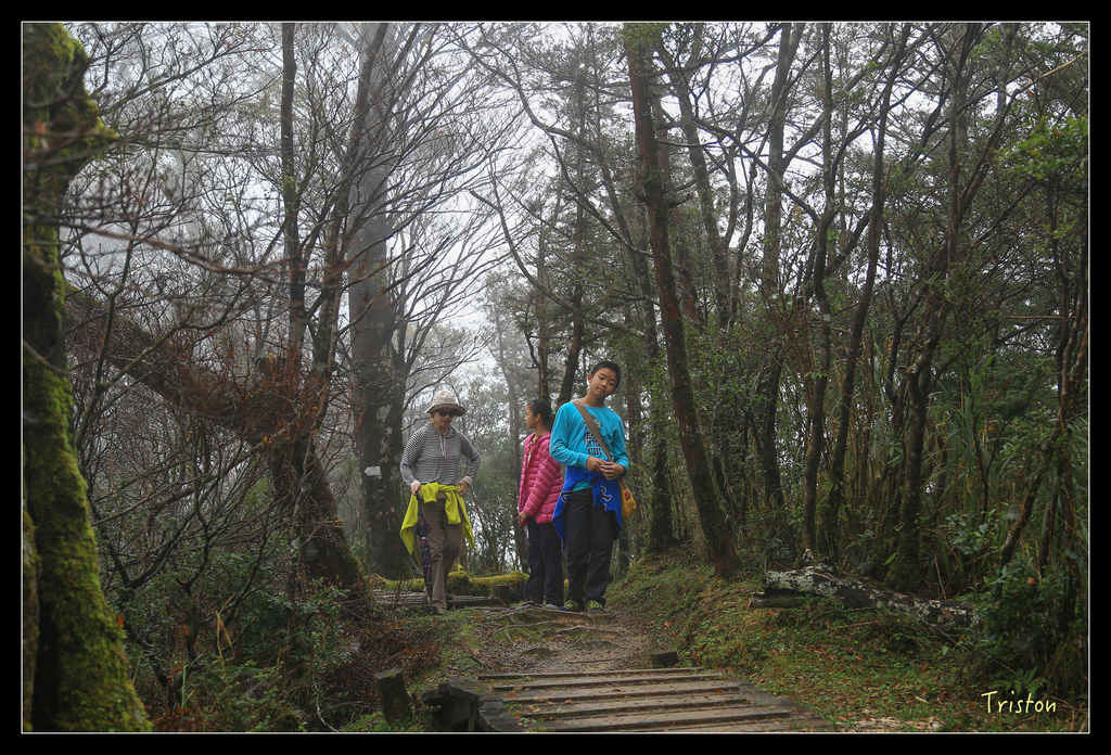 JH1A0227.jpg - 20151024~25 幾米公園、翠峰湖、翠峰山屋、望洋山步道、山毛櫸步道