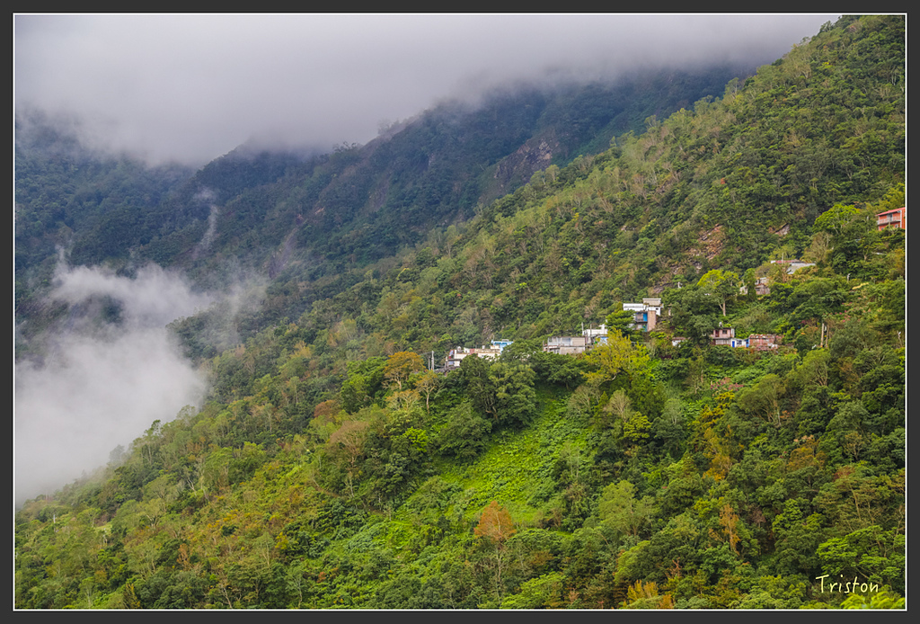 JH1A8233.jpg - 20160111 吉露、阿禮部落