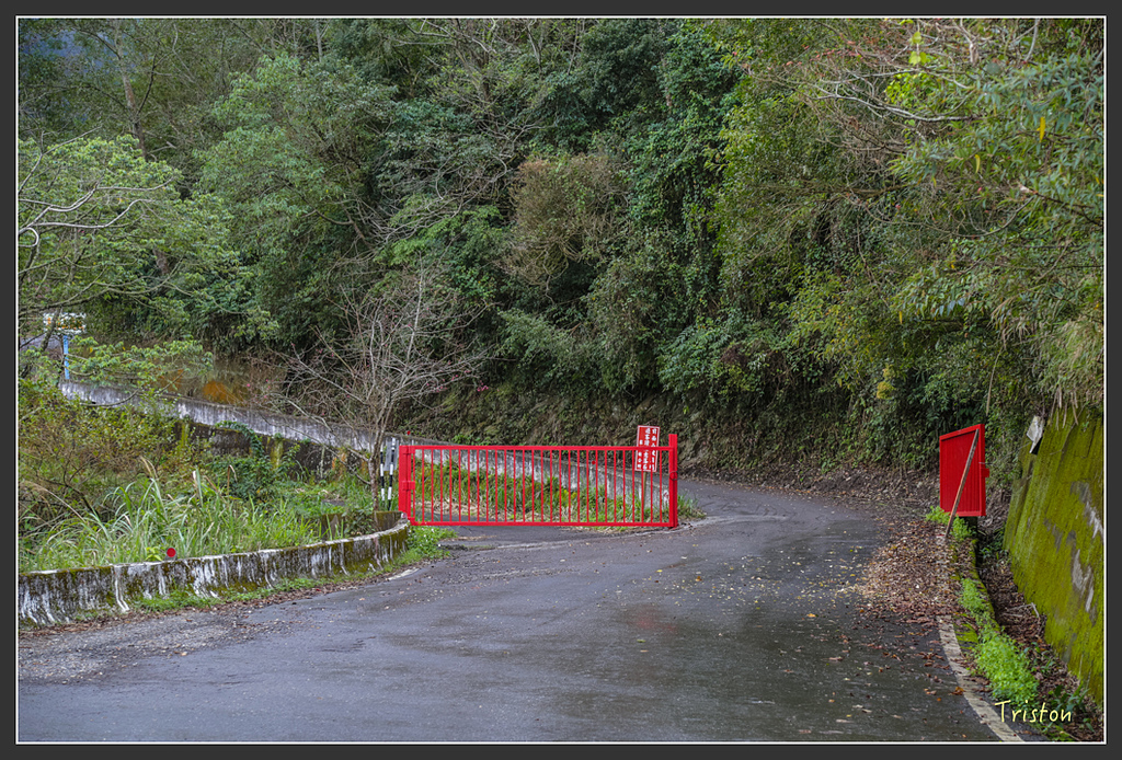 JH1A8238.jpg - 20160111 吉露、阿禮部落