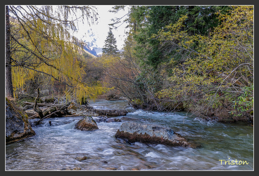 _MG_0680.jpg - 20161013 稻城亞丁