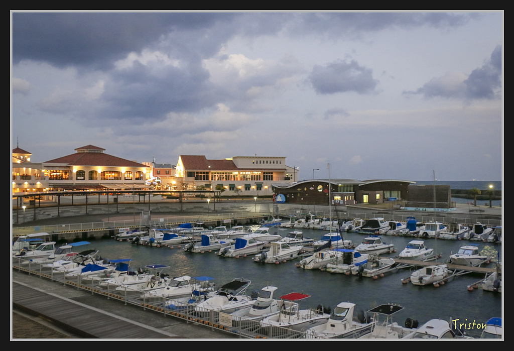 Canon-784.jpg - 20170120 大阪神戶親子遊