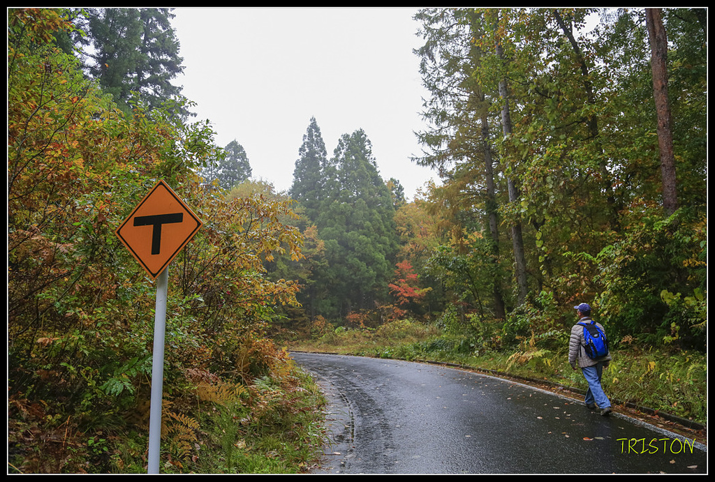 _H1A0377.jpg - 20171103 日本只見線、會津若松五色沼、昭和記念公園賞紅葉