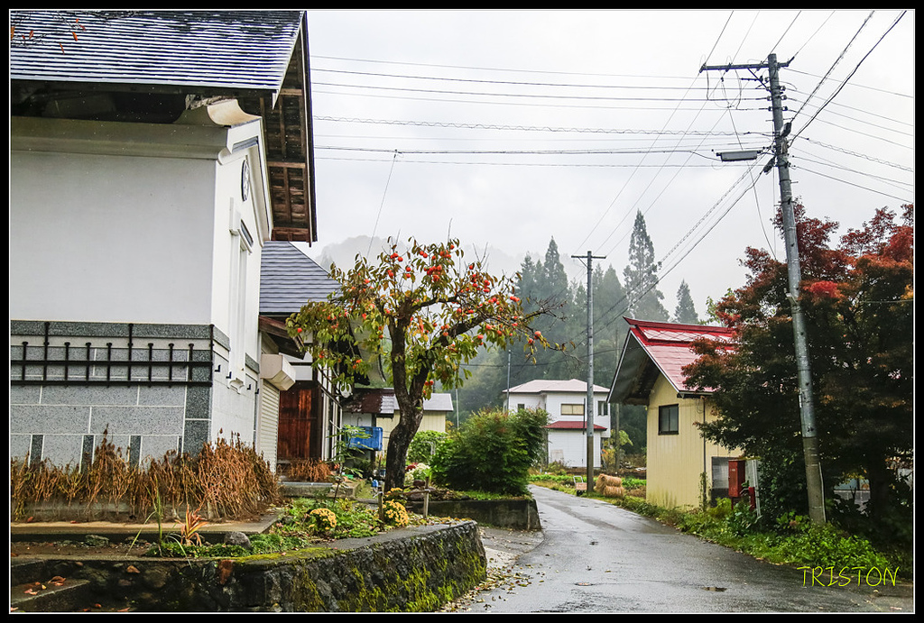 _H1A0372.jpg - 20171103 日本只見線、會津若松五色沼、昭和記念公園賞紅葉