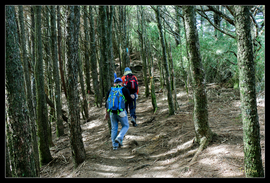IMG_8598.jpg - 20151017 郡大林道、望鄉山、郡大山
