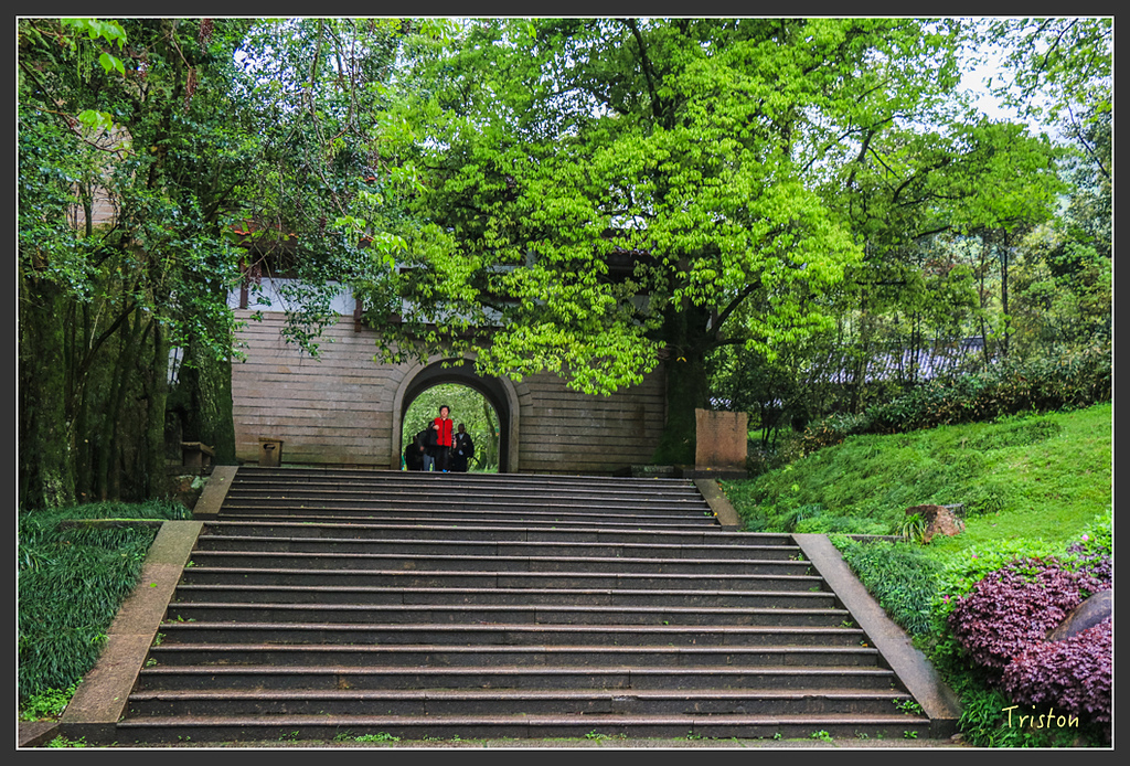 IMG_6481.jpg - 20160409 武夷山之旅