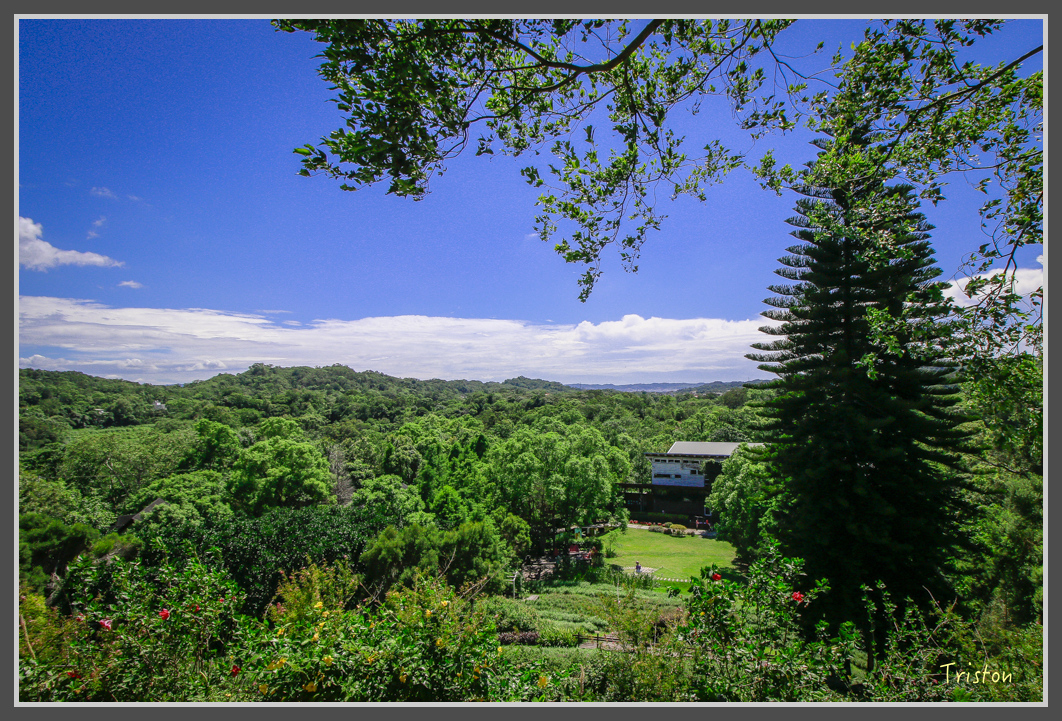 _MG_8885.jpg - 20160712 苗栗薰衣草森林