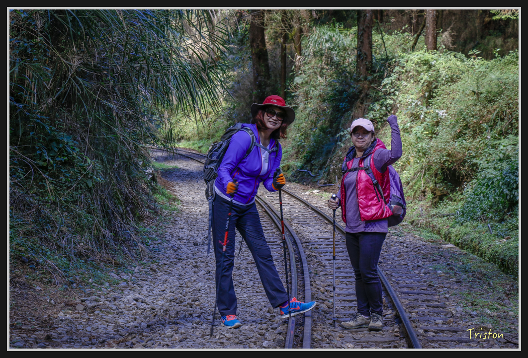 _MG_0179.jpg - 20161226 大塔山