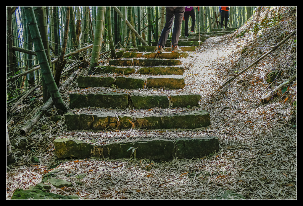 _MG_0035.jpg - 20170408 瑞太古道