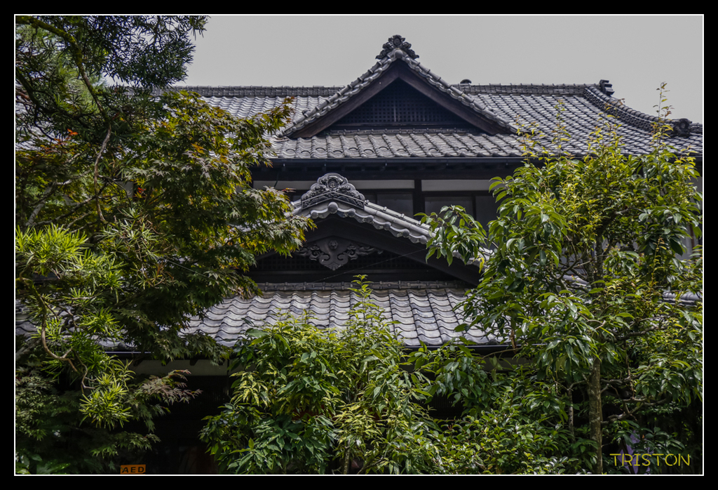 _MG_1202.jpg - 20170702 靜岡東海道之旅