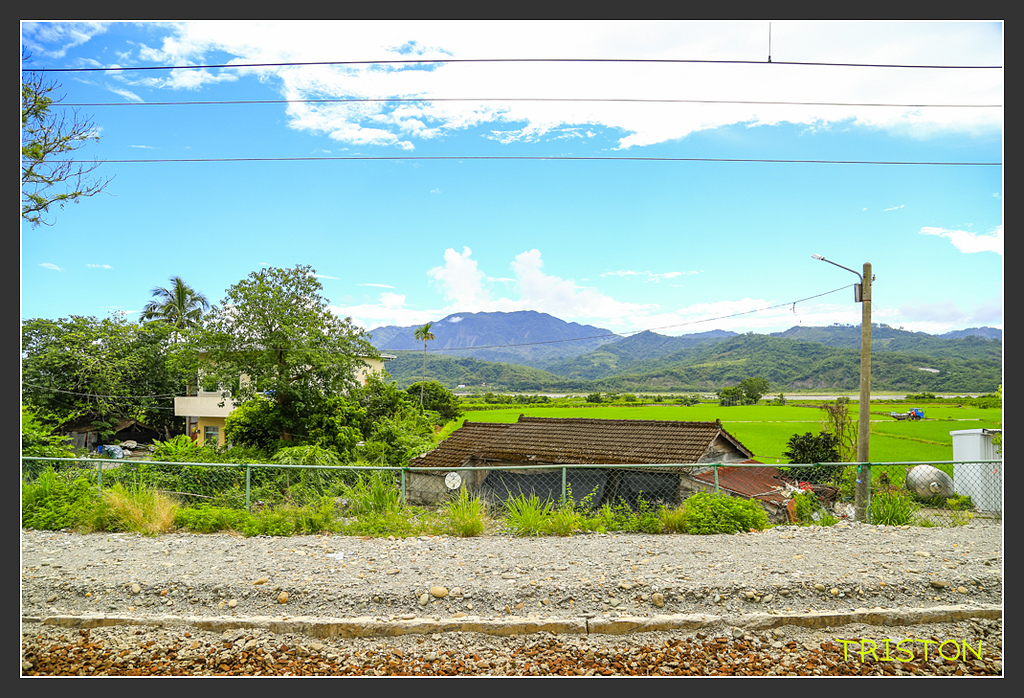 _H1A6684.jpg - 20170901 戀戀台九線