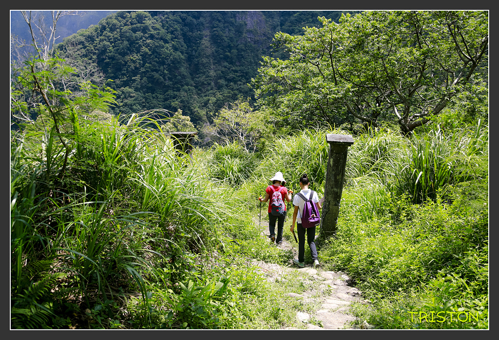 _H1A6464.jpg - 20170901 戀戀台九線