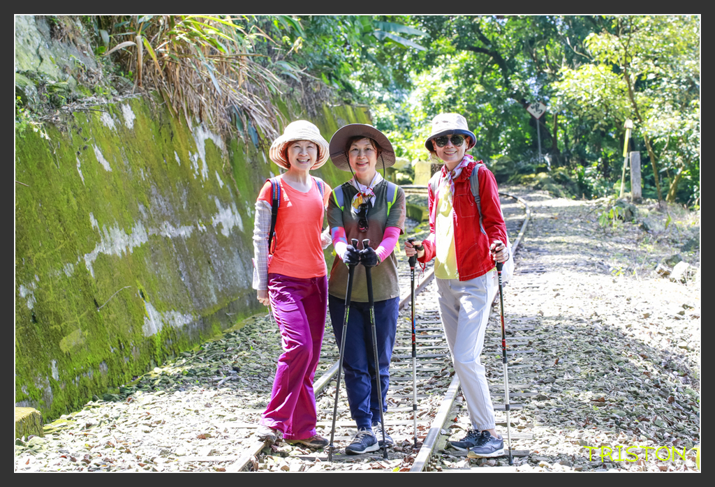 _H1A6888.jpg - 20170904 獨立山步道生態