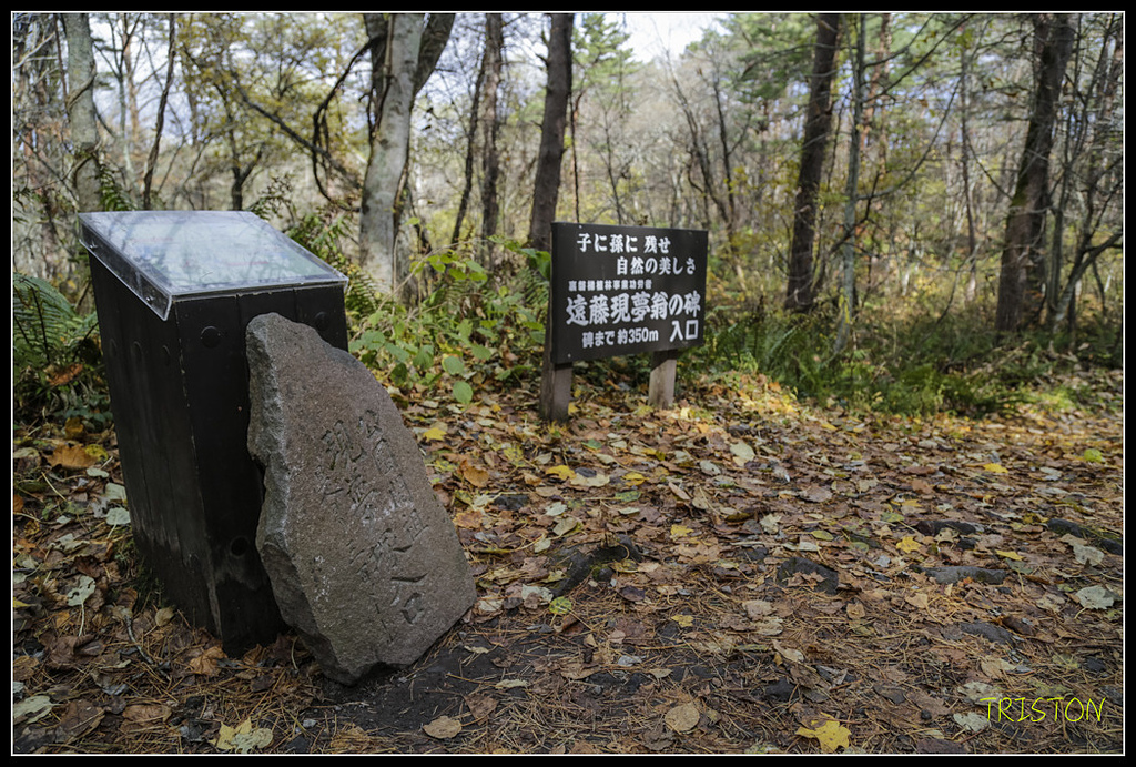 _H1A1338.jpg - 20171103 日本只見線、會津若松五色沼、昭和記念公園賞紅葉