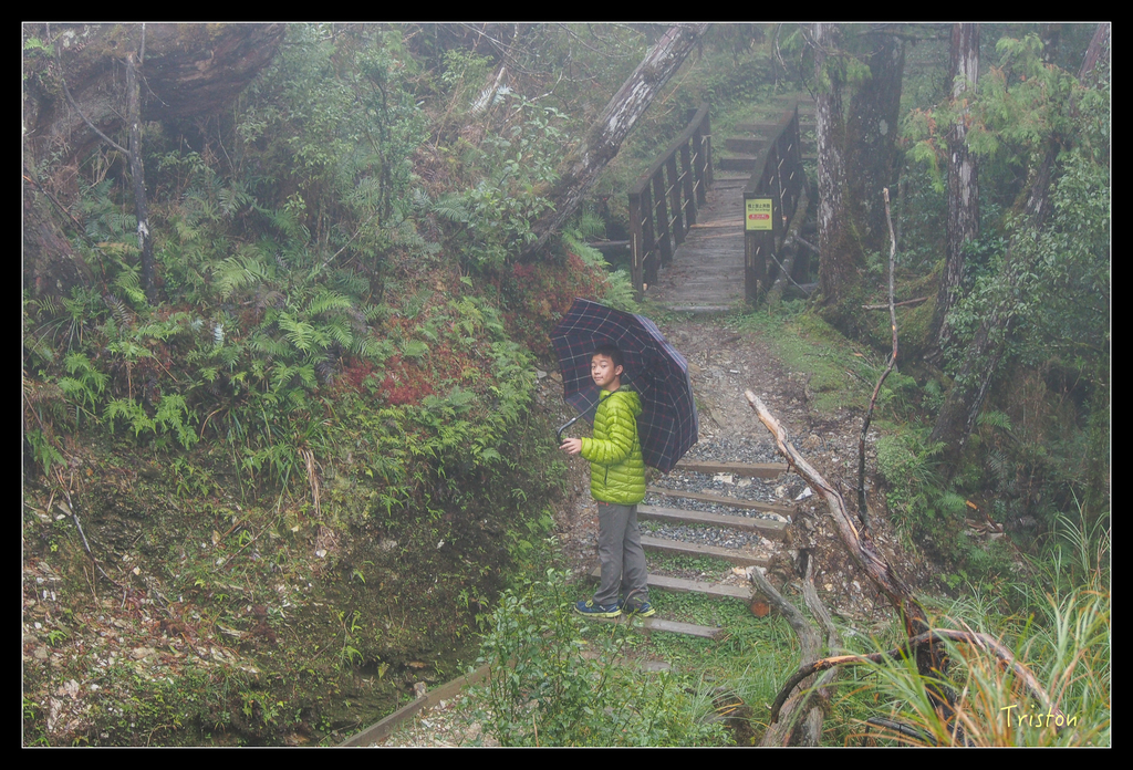 PA240145.jpg - 20151024~25 幾米公園、翠峰湖、翠峰山屋、望洋山步道、山毛櫸步道