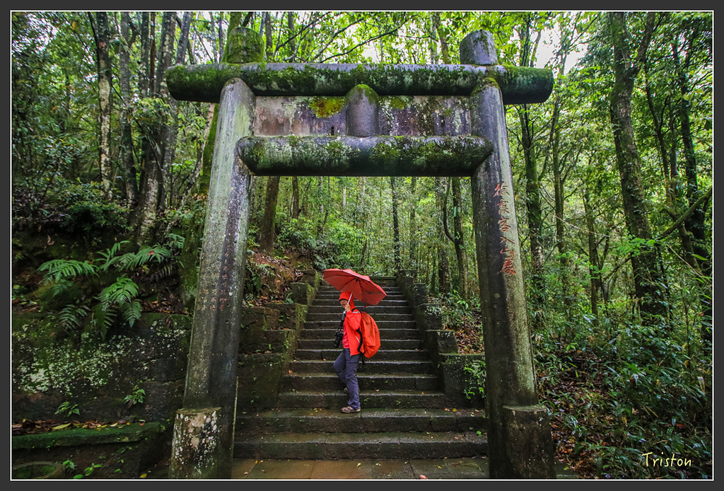 IMG_6439.jpg - 20160409 武夷山之旅