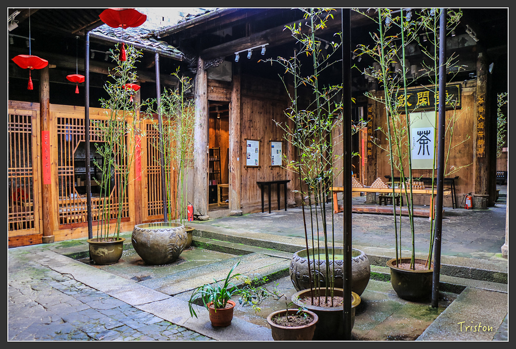 IMG_6689.jpg - 20160409 武夷山之旅