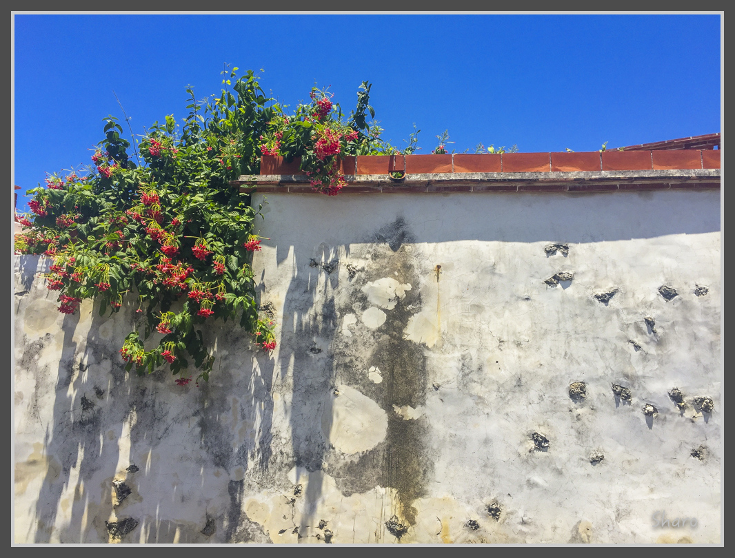 IMG_7867.jpg - 20160701 澎湖