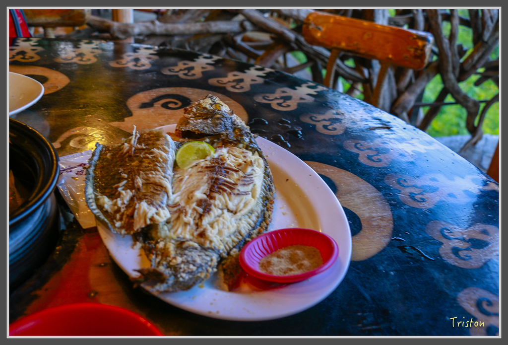 IMG-484.jpg - 20160821 中橫花東之旅