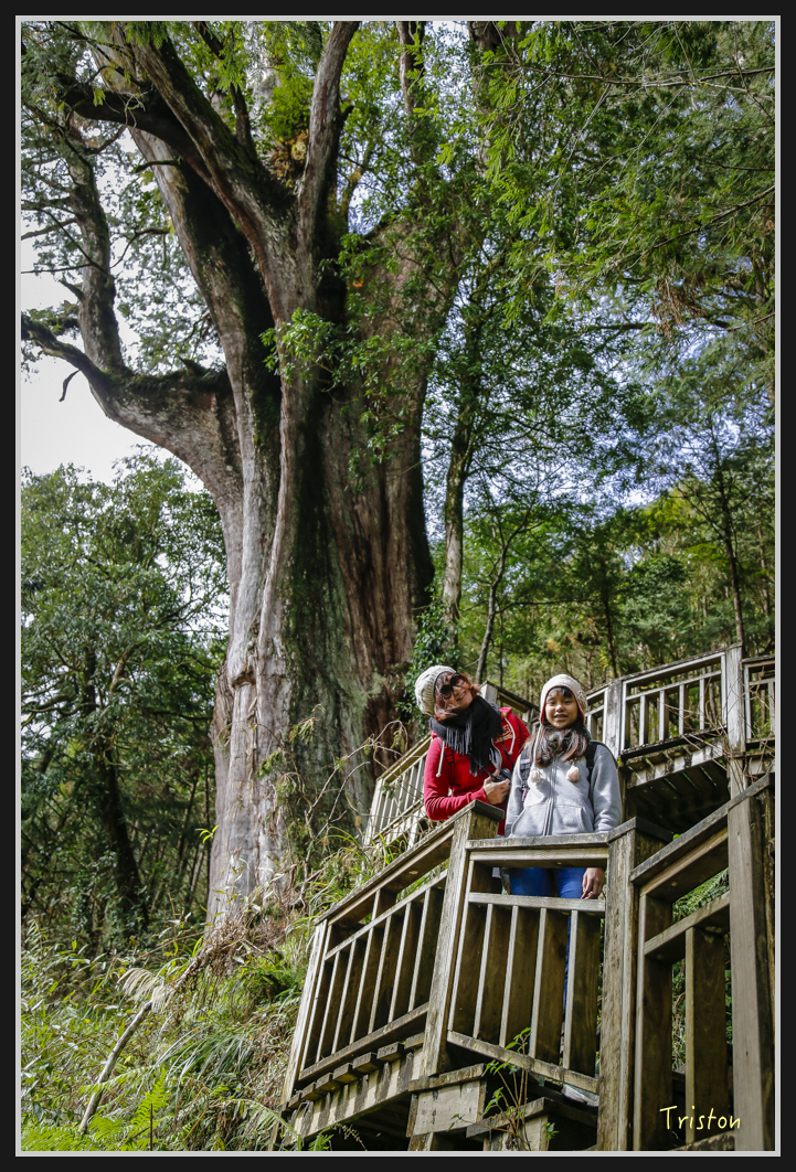 0091.jpg - 20161231 明池 神木園