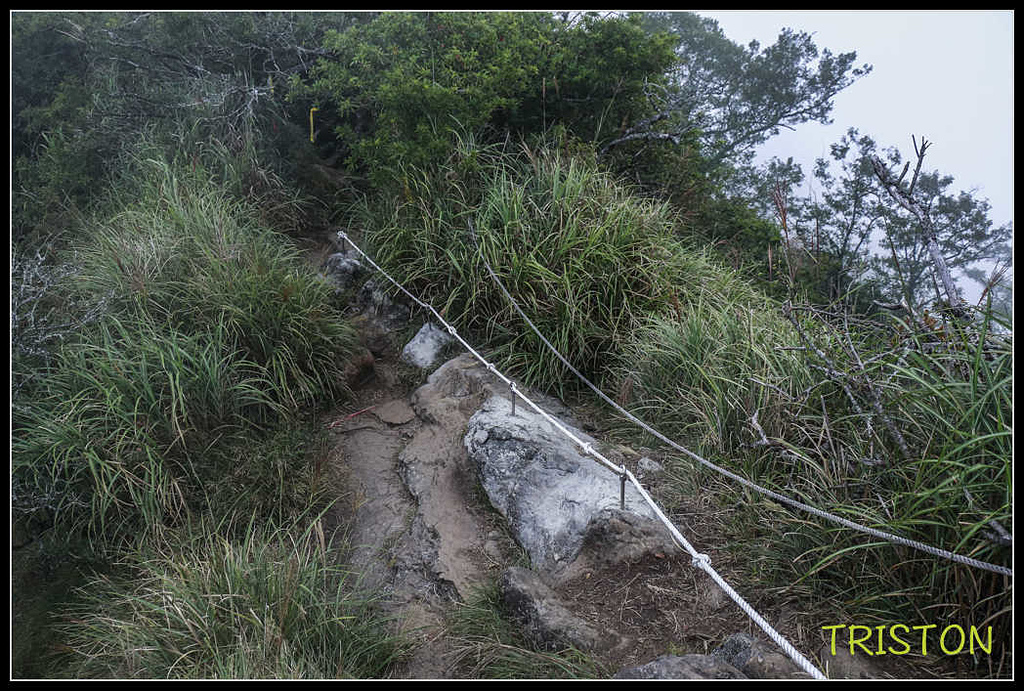 _MG_0110.jpg - 20170920 加里山