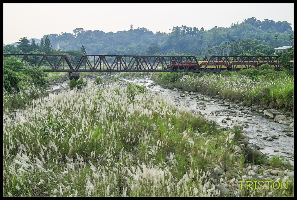 _H1A7445.jpg - 20170923 竹崎牛稠溪鐵橋火車
