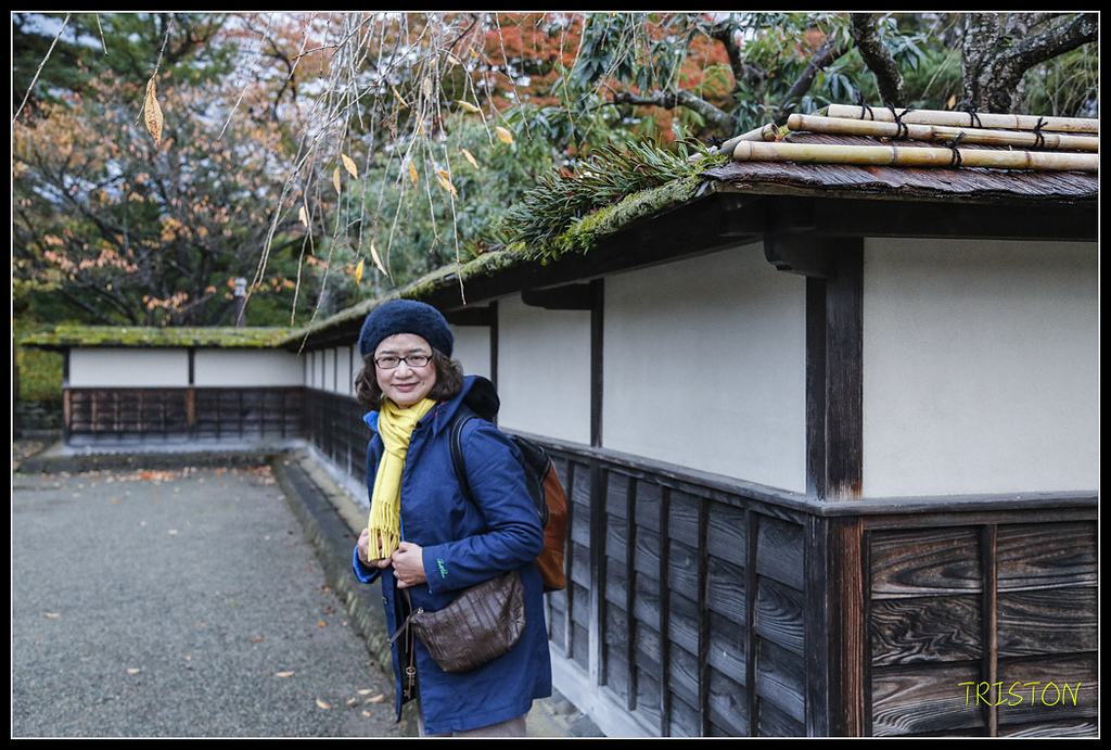 _H1A0985.jpg - 20171103 日本只見線、會津若松五色沼、昭和記念公園賞紅葉