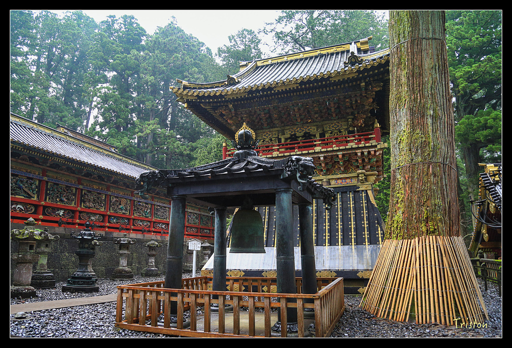 JH1A9980.jpg - 20150628 東京輕井澤日光