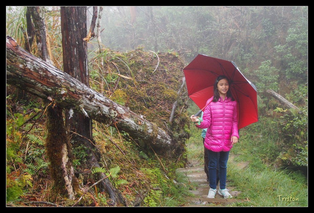 PA240144.jpg - 20151024~25 幾米公園、翠峰湖、翠峰山屋、望洋山步道、山毛櫸步道