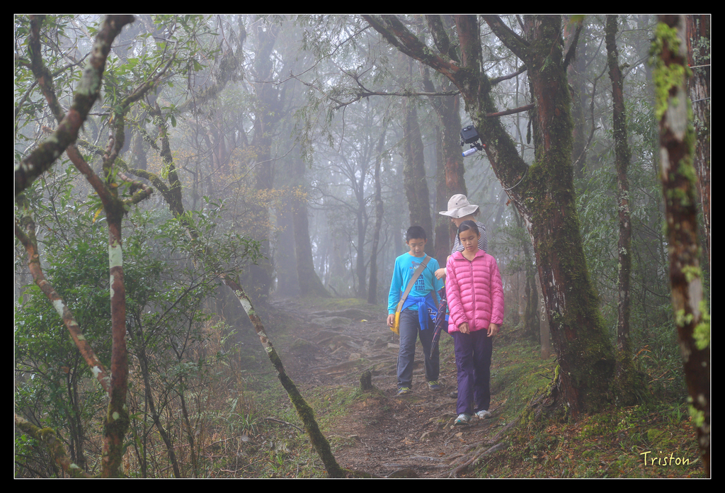 JH1A0221.jpg - 20151024~25 幾米公園、翠峰湖、翠峰山屋、望洋山步道、山毛櫸步道