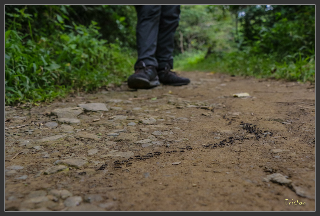 IMG_1363-2.jpg - 20160122 南仁湖、墾丁