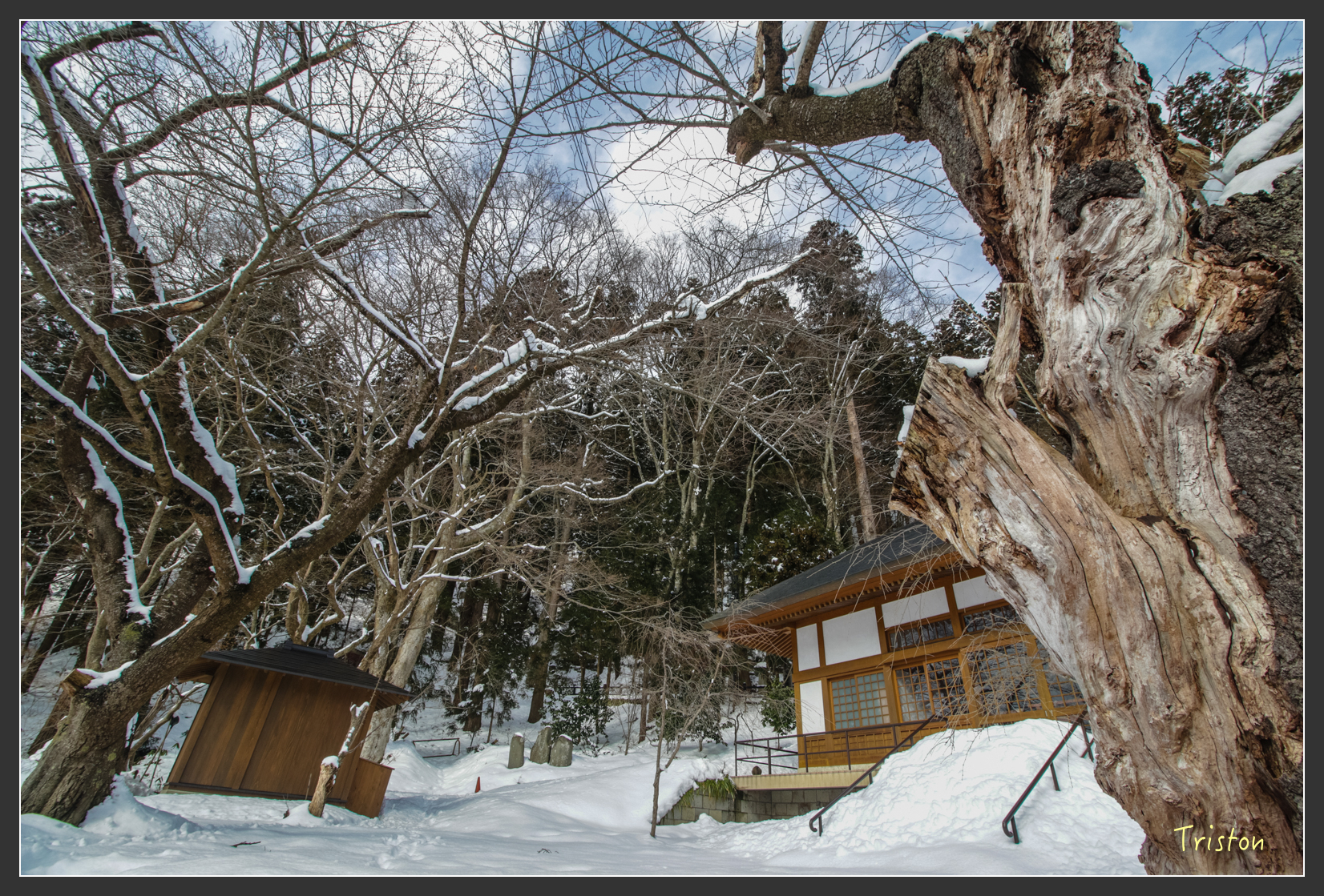 2016ZAO-00736.jpg - 20160131 日本藏王溫泉滑雪親子行