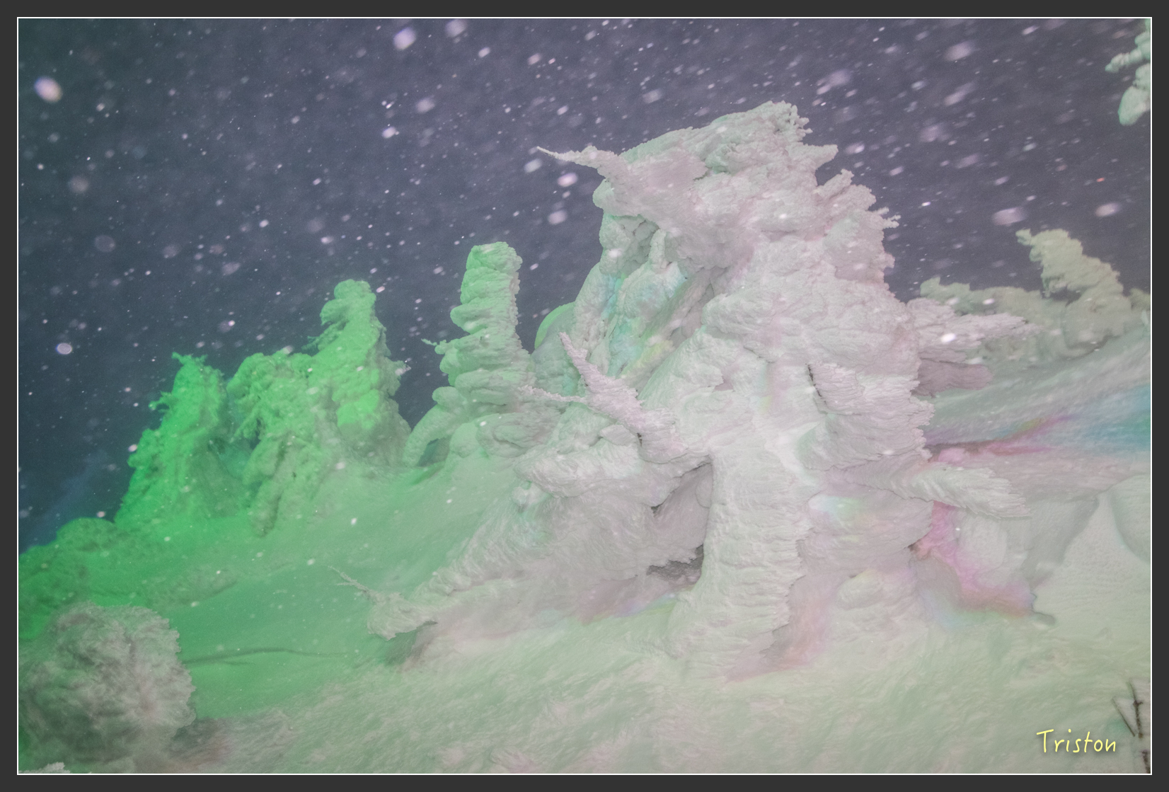 2016ZAO-00918.jpg - 20160131 日本藏王溫泉滑雪親子行