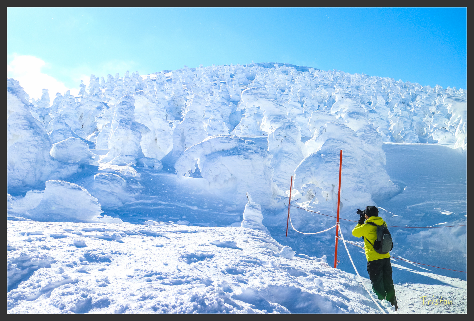2016ZAO-01577.jpg - 20160131 日本藏王溫泉滑雪親子行